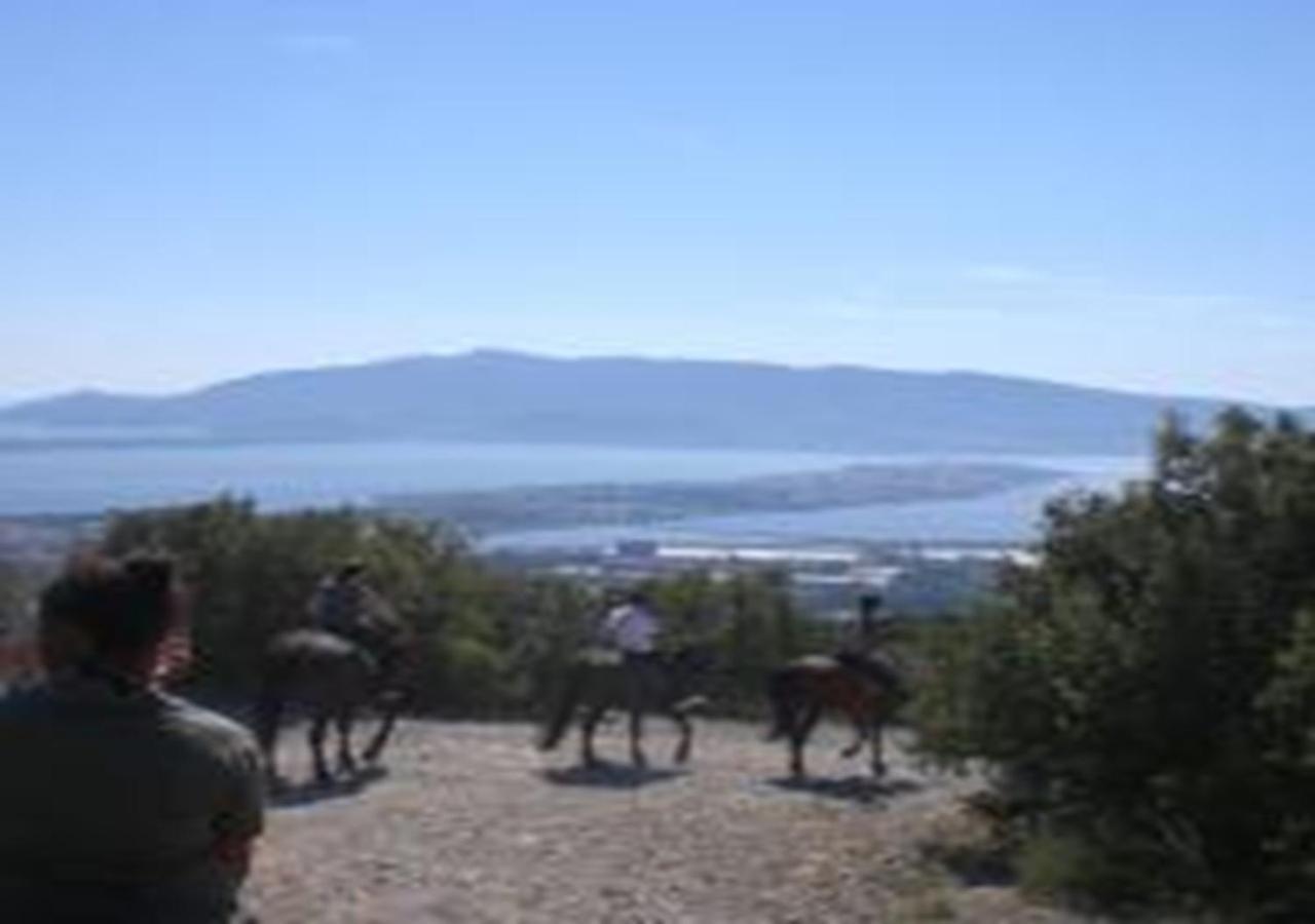 App - Il Fenicottero Con Parcheggio Gratuito Ad Orbetello Villa Bagian luar foto