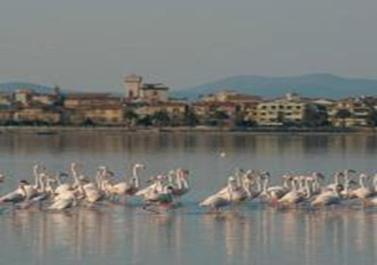 App - Il Fenicottero Con Parcheggio Gratuito Ad Orbetello Villa Bagian luar foto