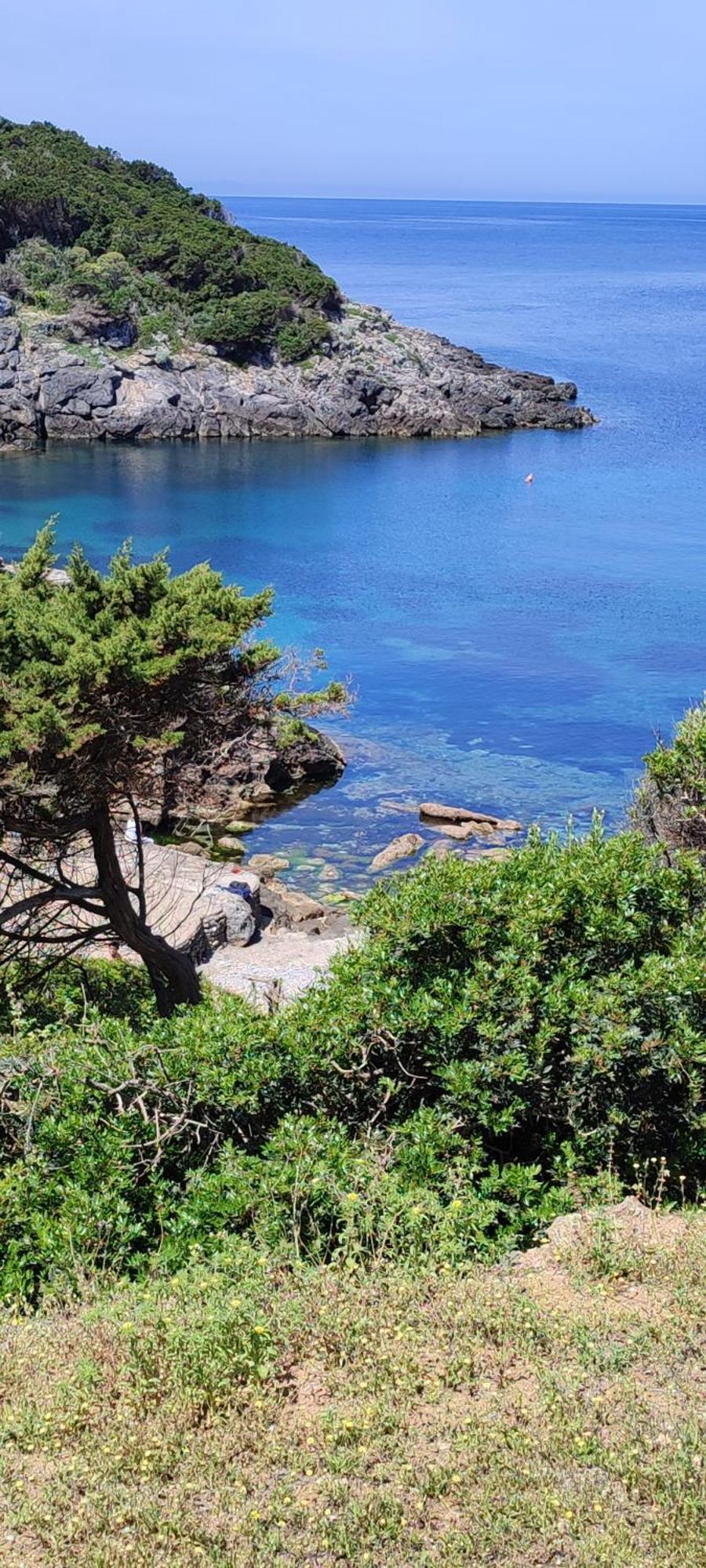 App - Il Fenicottero Con Parcheggio Gratuito Ad Orbetello Villa Bagian luar foto